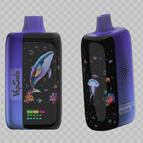 VAPERS VAPSOLO 70000 PUFFS RASPBERRY WATERMELON